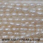 3913 rice pearl about 3-4mm.jpg